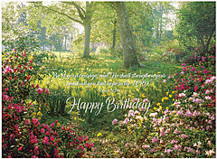 May your birthday be blessed and filled with God's love. Birthday Hope A2274U-Y